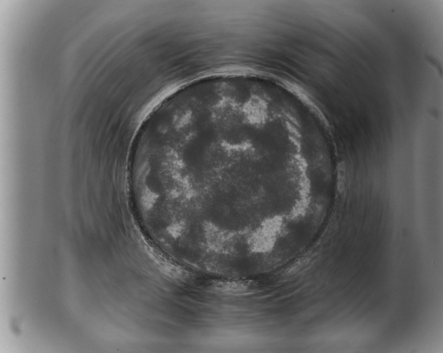 X0000100191229200806201350