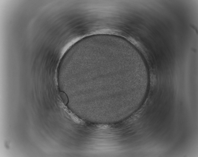 X0000100191230200806201350