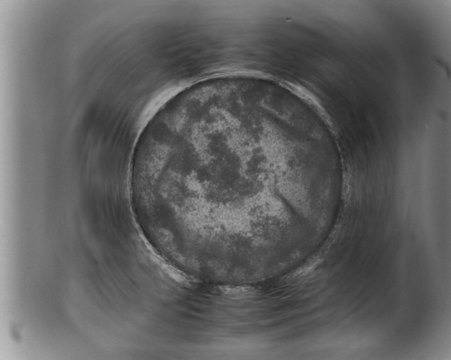 X0000100191231200806201350