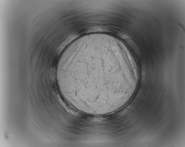 X0000100191233200806201350