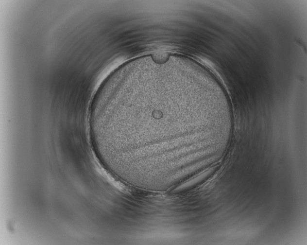 X0000100191235200806201350