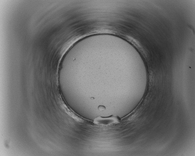 X0000100191236200806201350
