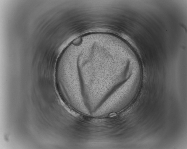 X0000100191237200806201350