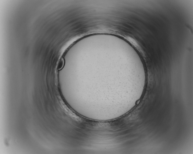 X0000100191238200806201350