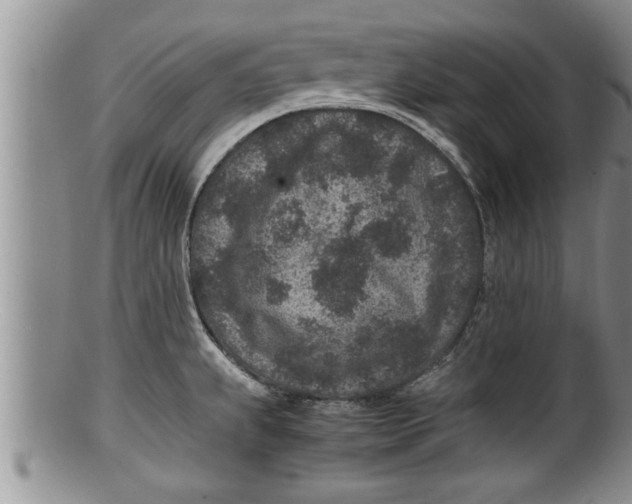 X0000100191239200806201350