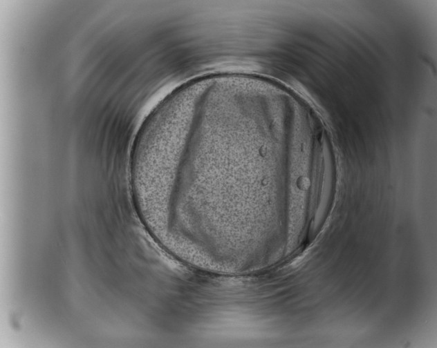 X0000100191240200806201350