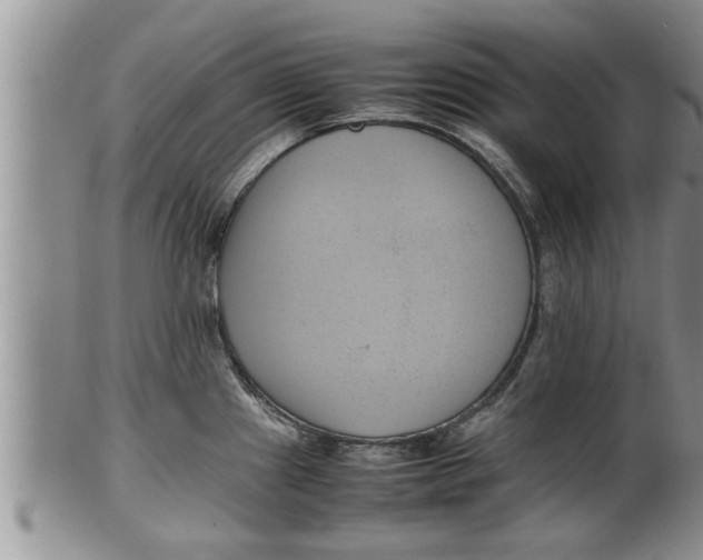 X0000100191241200806201350