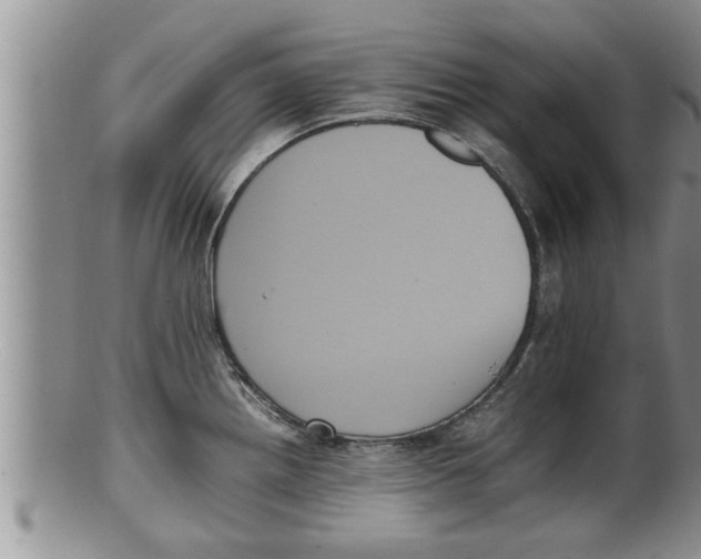 X0000100191242200806201350