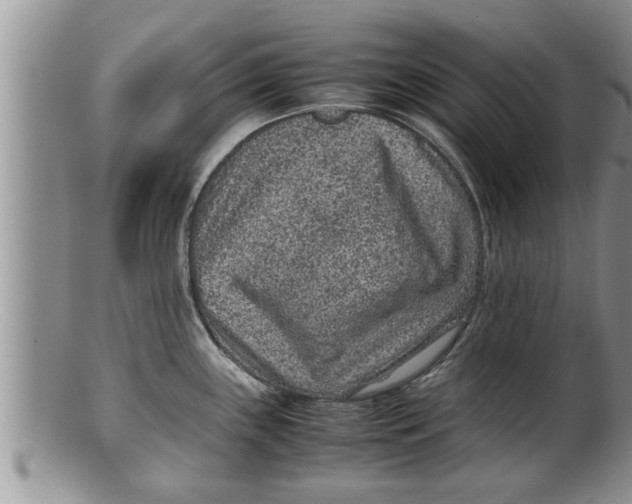 X0000100191243200806201350