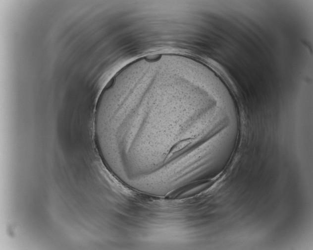 X0000100191244200806201350