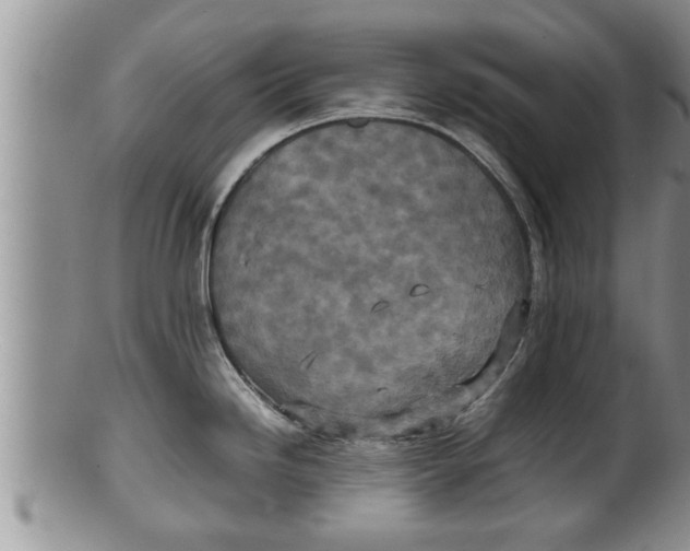 X0000100191246200806201350