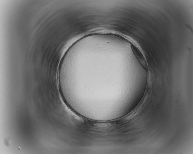 X0000100191247200806201350