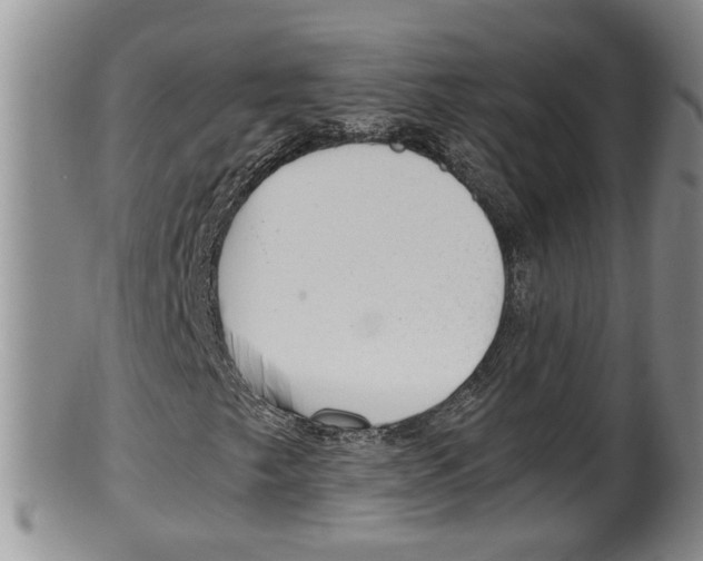 X0000100191249200806201350