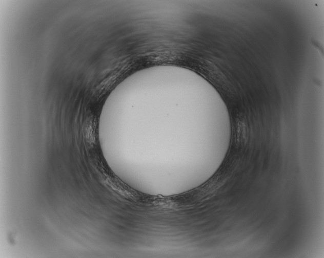 X0000100191250200806201349