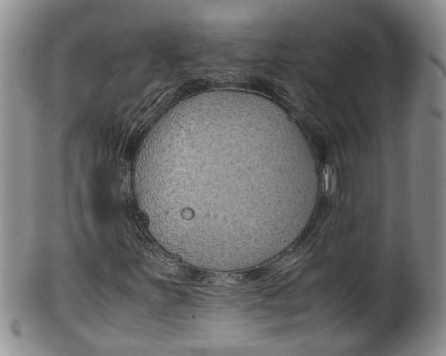 X0000100191251200806201349