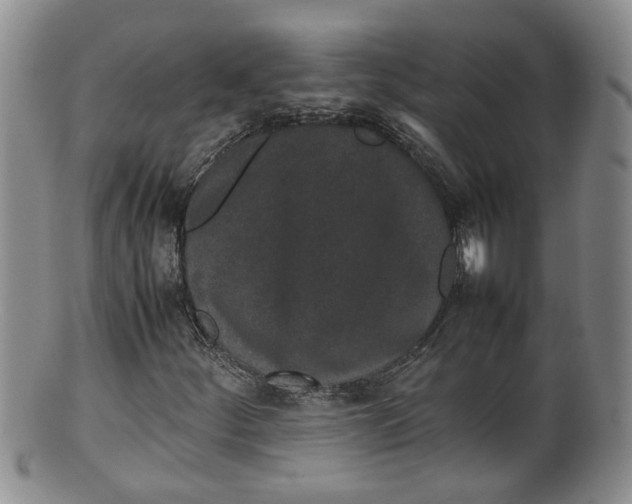 X0000100191252200806201349