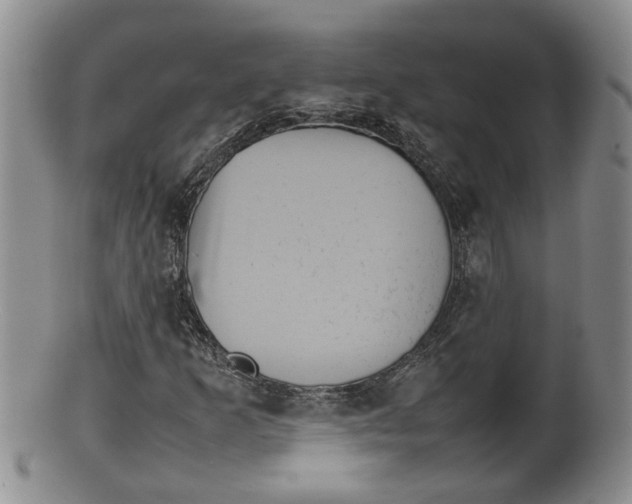 X0000100191253200806201349