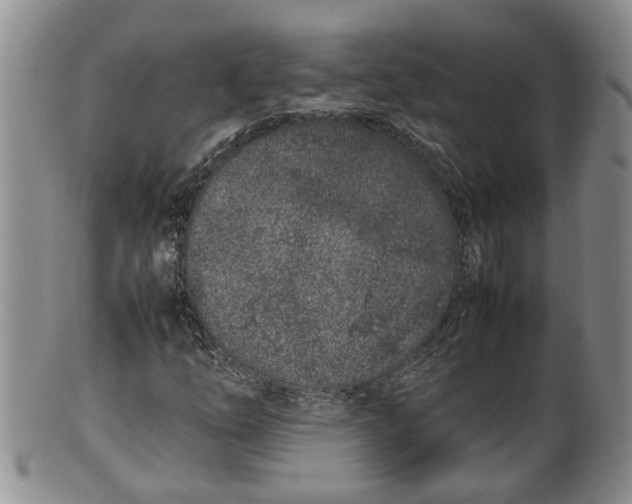 X0000100191254200806201349