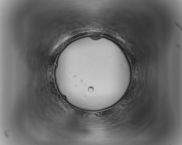 X0000100191255200806201349