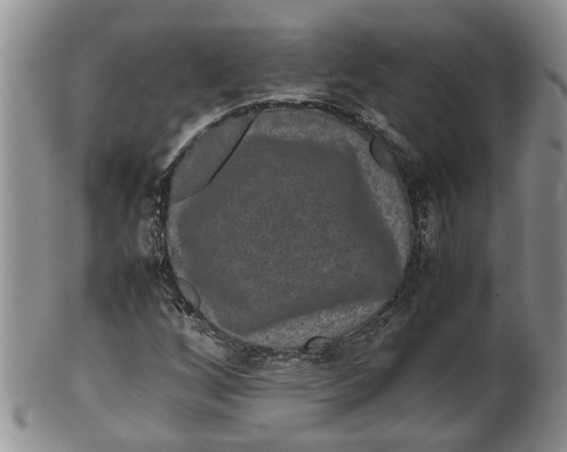 X0000100191256200806201349