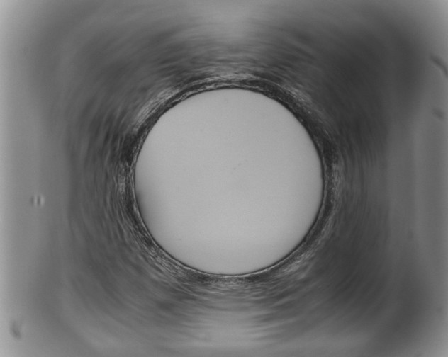 X0000100191257200806201349