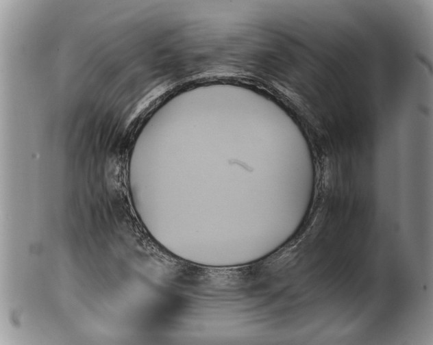 X0000100191258200806201349