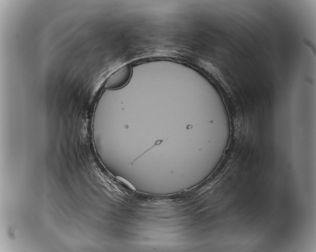 X0000100191260200806201349