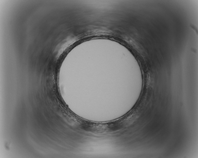 X0000100191261200806201349
