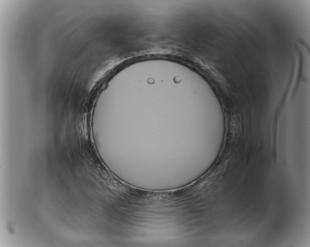 X0000100191262200806201349