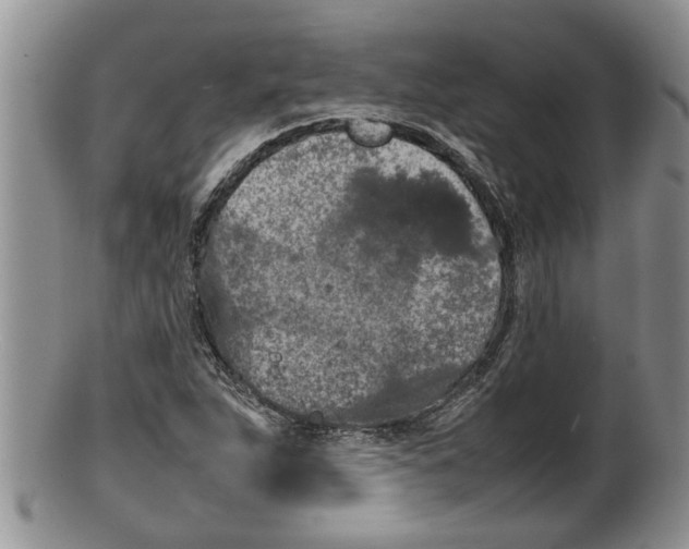 X0000100191263200806201349