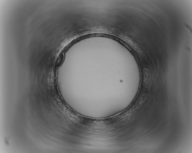 X0000100191264200806201349