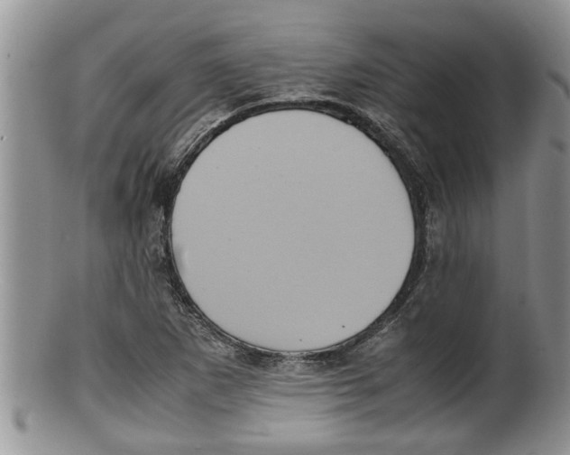 X0000100191265200806201349