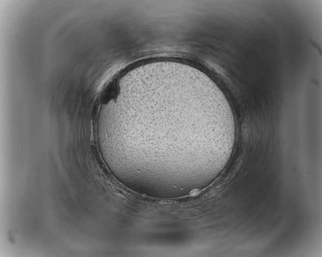 X0000100191267200806201349