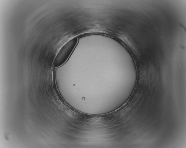 X0000100191268200806201349
