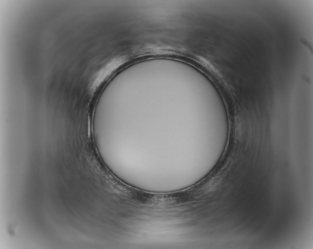 X0000100191269200806201349