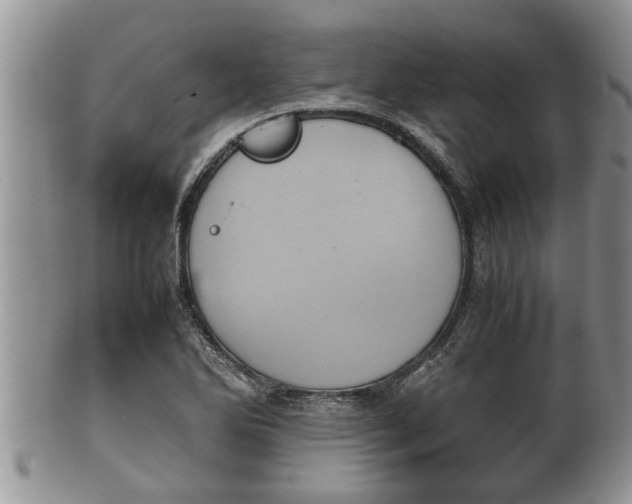 X0000100191270200806201349