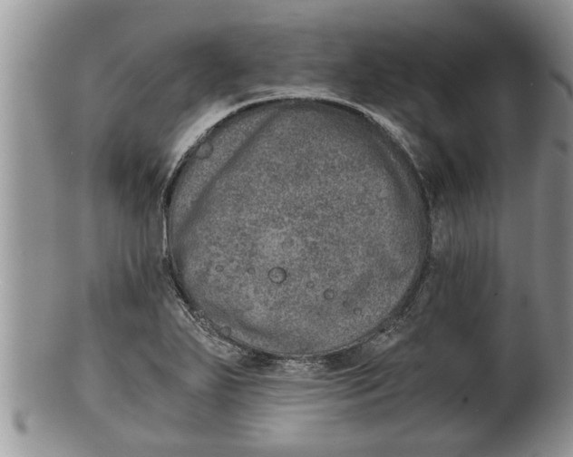X0000100191271200806201349