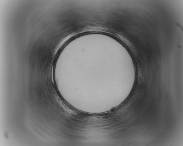 X0000100191272200806201349