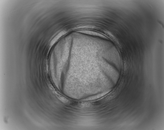 X0000100191274200806201349