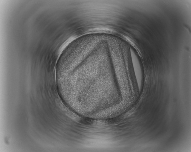 X0000100191275200806201349