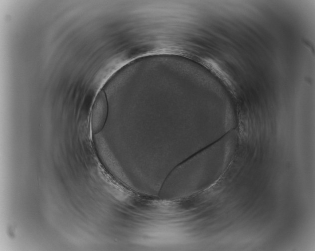 X0000100191276200806201349