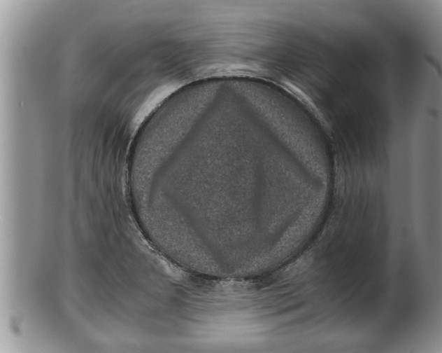 X0000100191277200806201349