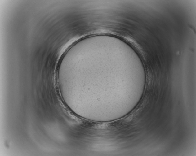 X0000100191278200806201349