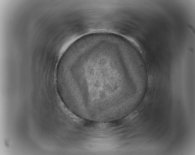 X0000100191279200806201349