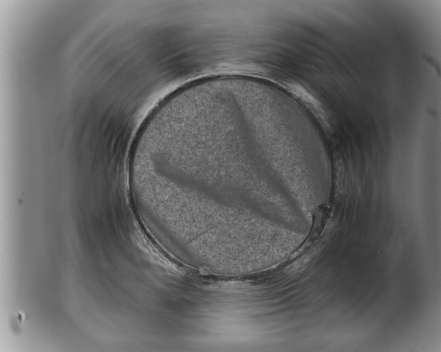 X0000100191280200806201349