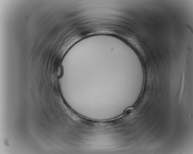 X0000100191281200806201349