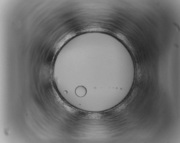 X0000100191282200806201349