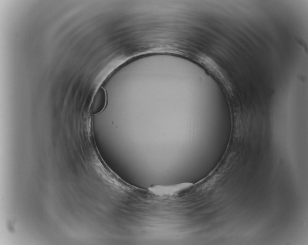 X0000100191284200806201349
