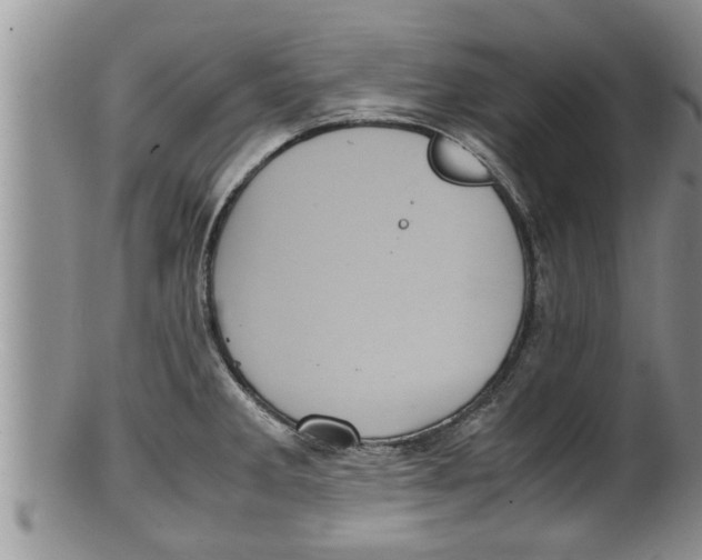 X0000100191285200806201349