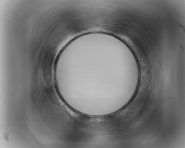 X0000100191286200806201349